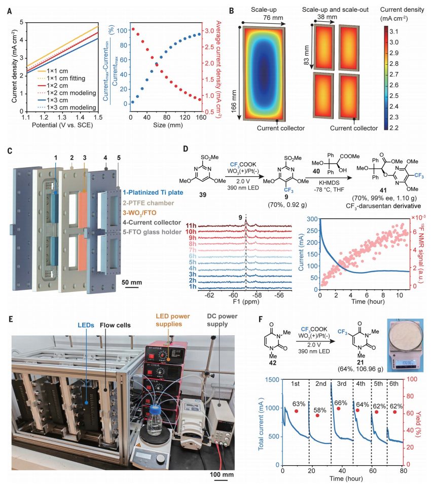 光电催化，最新Science！