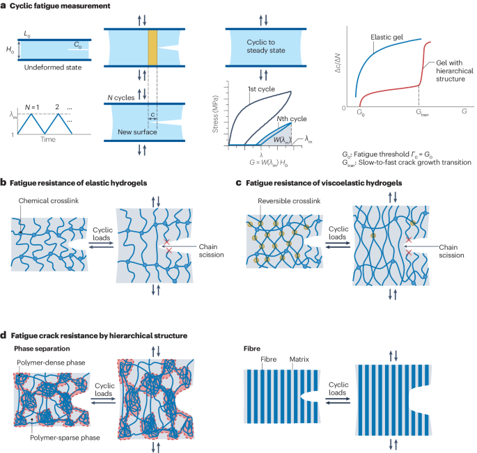 IF=83.5 顶级综述！一作+通讯，水凝胶最新Nature Reviews Materials！