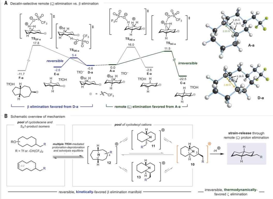 牛！他，今年首篇Nature之后，再发第二篇Science！已手握3篇正刊！