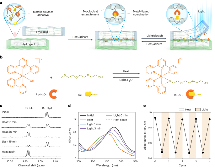 中科大，最新Nature Chemistry！