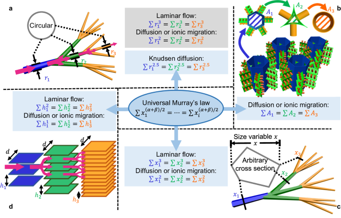 多孔材料，剑桥大学最新Nature子刊！