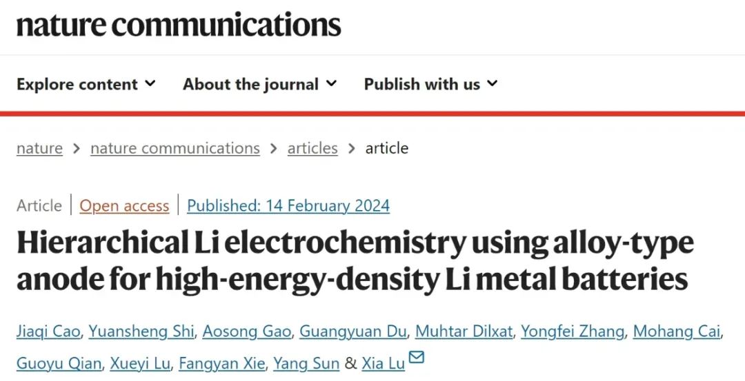 中大Nature子刊：合金负极的分层锂电化学用于高能锂金属电池