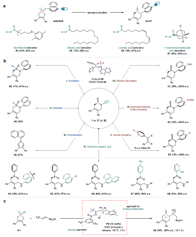 四川大学「国家优青」，最新Nature子刊！