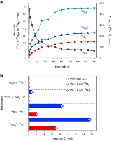 「国家高层次青年人才」一作兼通讯，重磅Nature Chemistry！