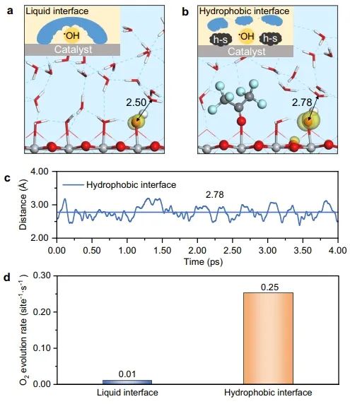 华理Nature子刊: 调控气泡-水/催化剂界面微环境，优化半疏水•OH以促进光催化反应