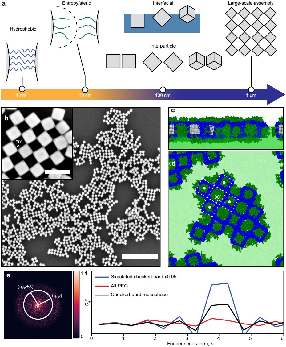 最新Nature子刊：理论计算引导，纳米晶自组装策略！