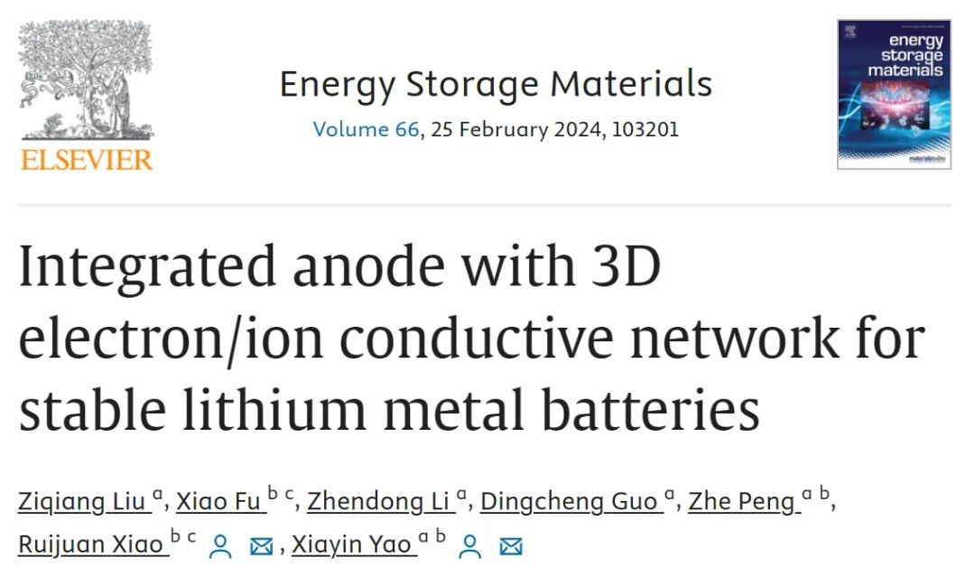 ​国科大EnSM：3D 电子/离子导电网络的集成负极，用于稳定的锂金属电池