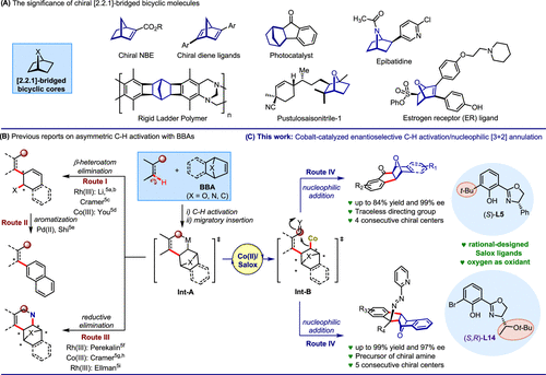 他，国家杰青/优青、青年长江！最新JACS！