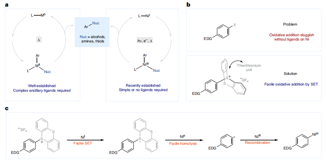 Ni催化，重磅Nature Catalysis！