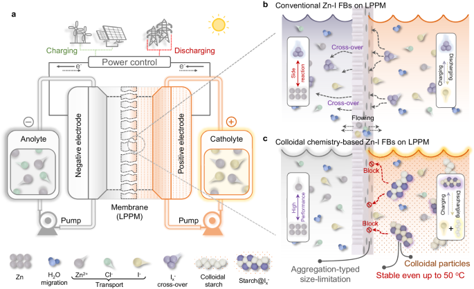 支春义最新Nature子刊：巧用淀粉，性能飞跃、成本直降14倍！