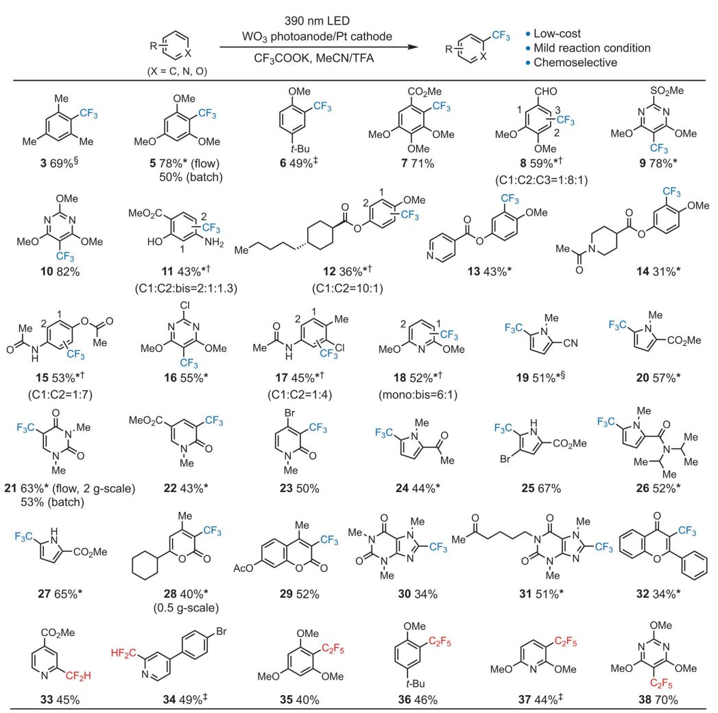 时隔四年，浙江大学莫一鸣再发Science！