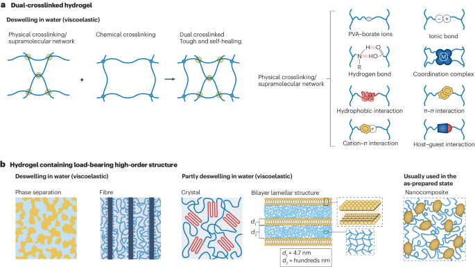 IF=83.5 顶级综述！一作+通讯，水凝胶最新Nature Reviews Materials！