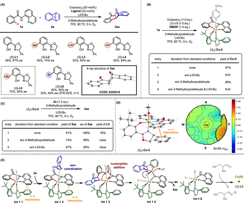 他，国家杰青/优青、青年长江！最新JACS！