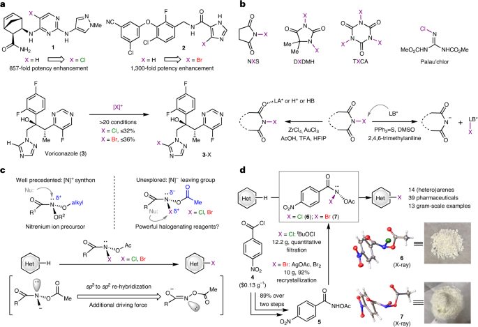 他，麦克阿瑟天才奖、Mukaiyama奖得主，有机化学公认大牛，最新Nat. Chem.！