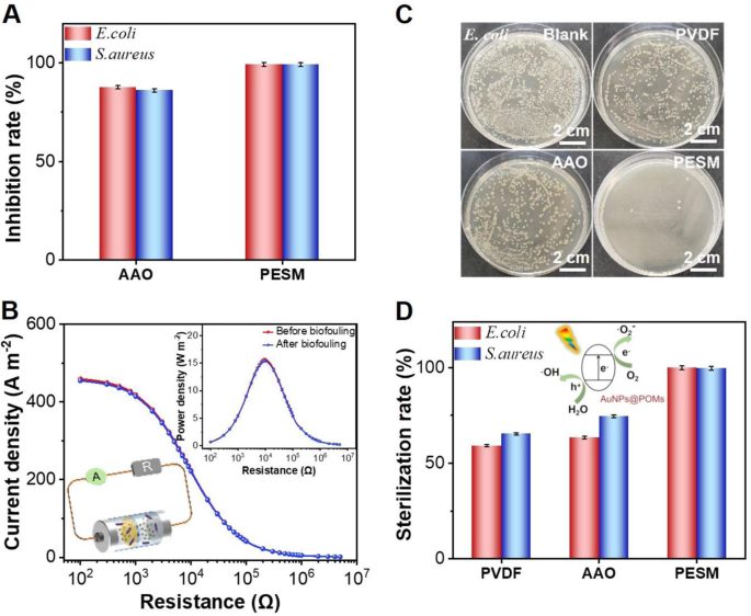 「国家优青」&「国家杰青」联手，最新Nature子刊！