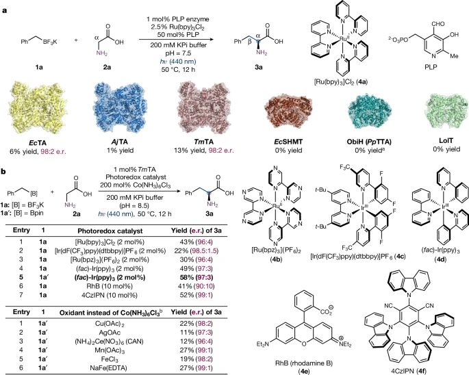 杨扬/刘鹏强强联合！Science之后，再发Nature！