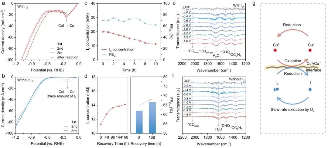 他，天大校友，澳大利亚科学院院士，顶刊540+，被引12.5W+！再添一篇顶刊！