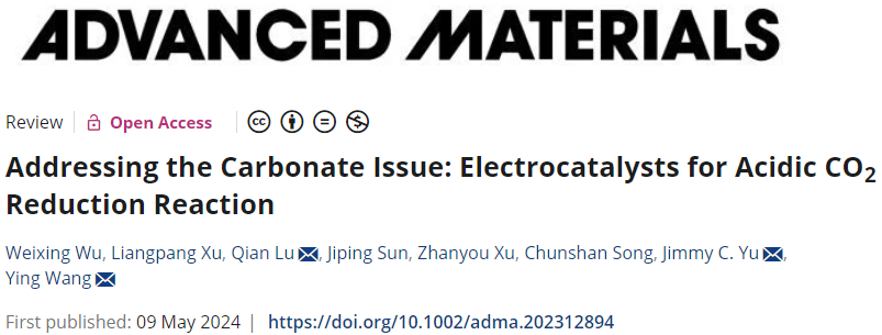 香港中文大学余济美教授，最新AM综述：酸性CO2RR电催化剂！