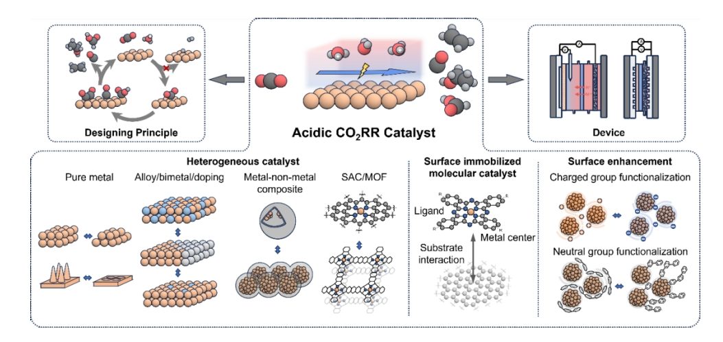 香港中文大学余济美教授，最新AM综述：酸性CO2RR电催化剂！