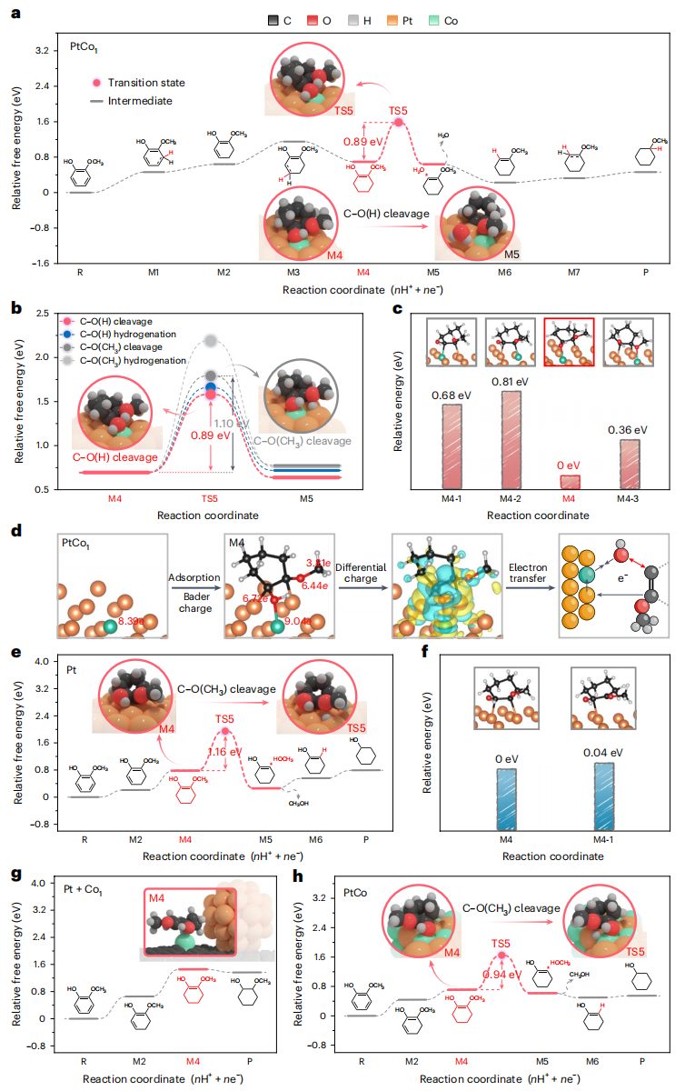 电催化，最新Nature Catalysis！