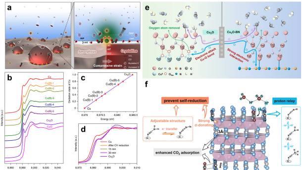 IF=46.2！海南大学田新龙/邓培林，最新Chemical Society Reviews综述！