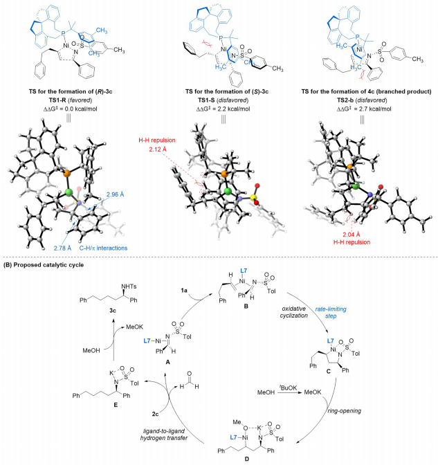 南开大学周其林院士团队，最新JACS！