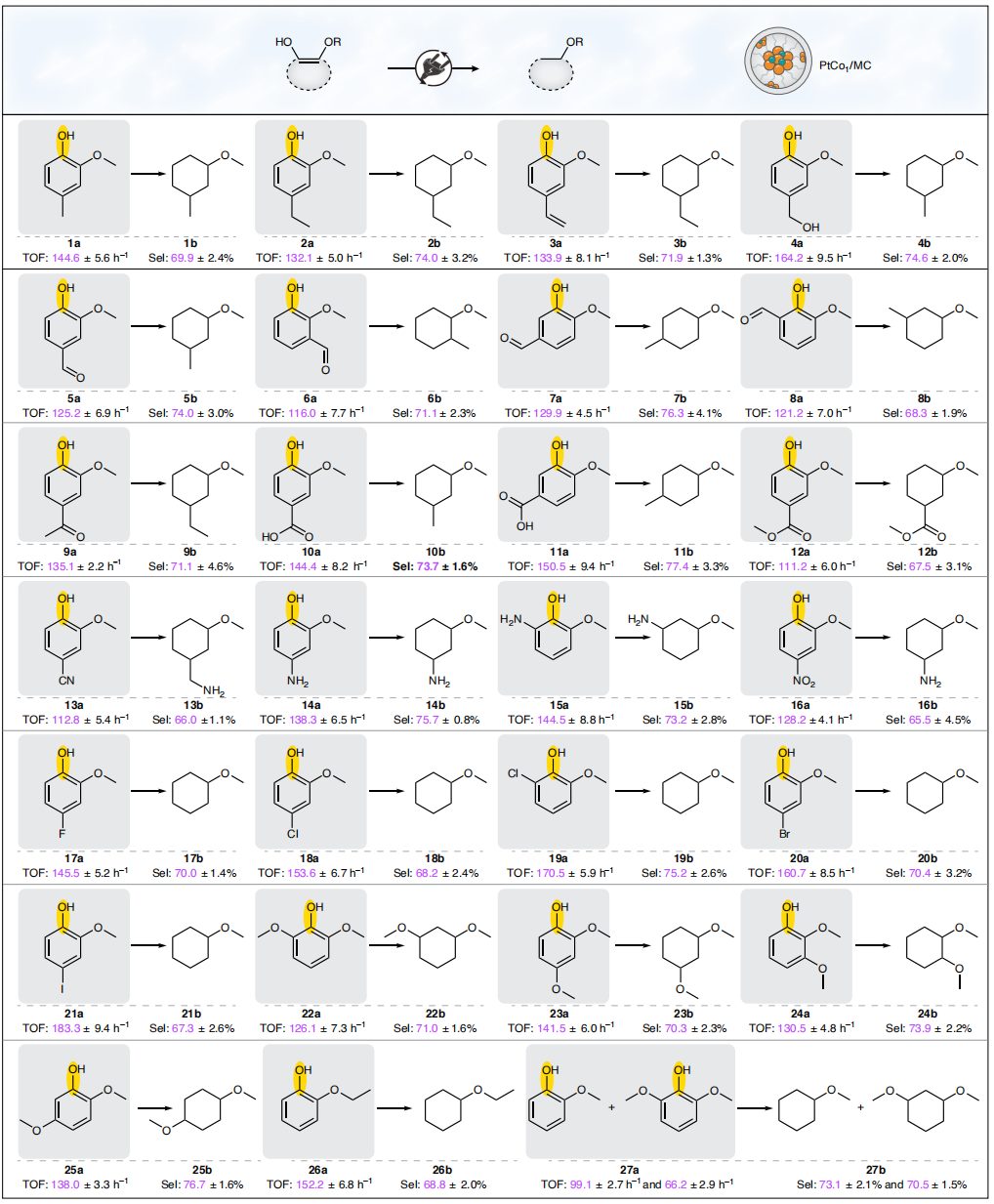 电催化，最新Nature Catalysis！