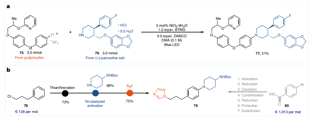 Ni催化，重磅Nature Catalysis！