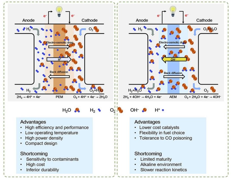 南开大学袁忠勇EES综述：用于AEMFCs的氢氧化电催化剂！