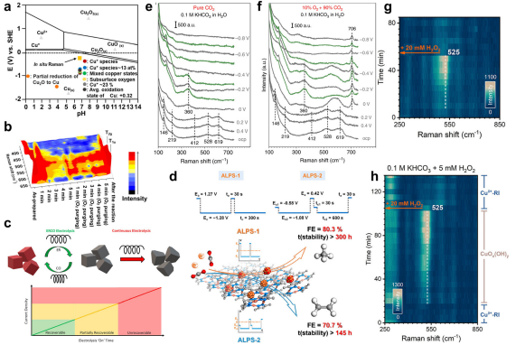 IF=46.2！海南大学田新龙/邓培林，最新Chemical Society Reviews综述！