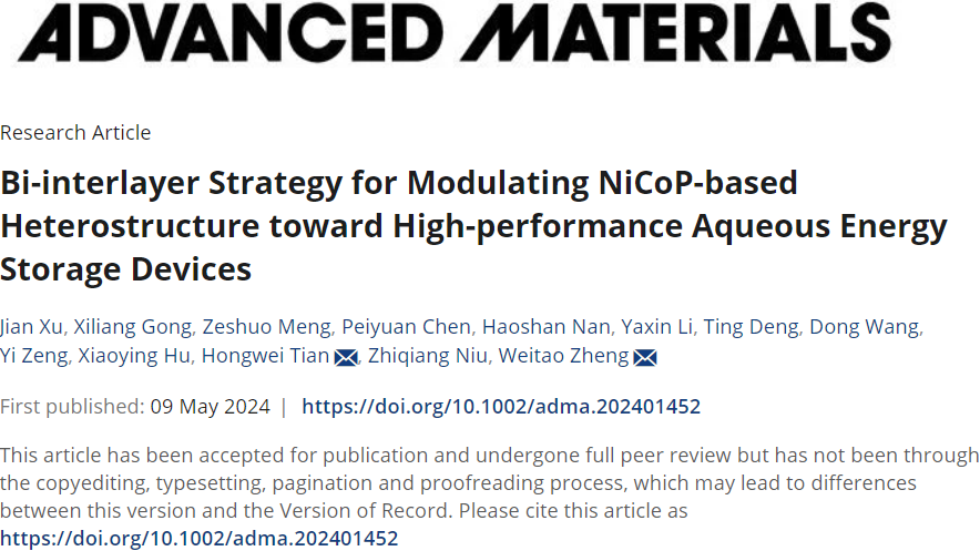 吉林大学「国家杰青」「长江学者」郑伟涛团队，最新AM！双层策略调控异质结构，实现高性能水系储能！