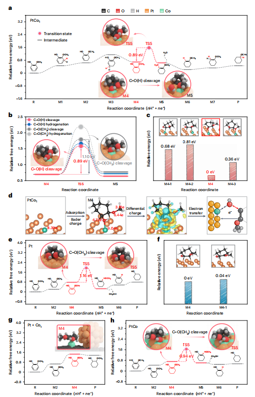 韩布兴院士，最新Nature Catalysis！「国家优青」孟庆磊共同通讯！