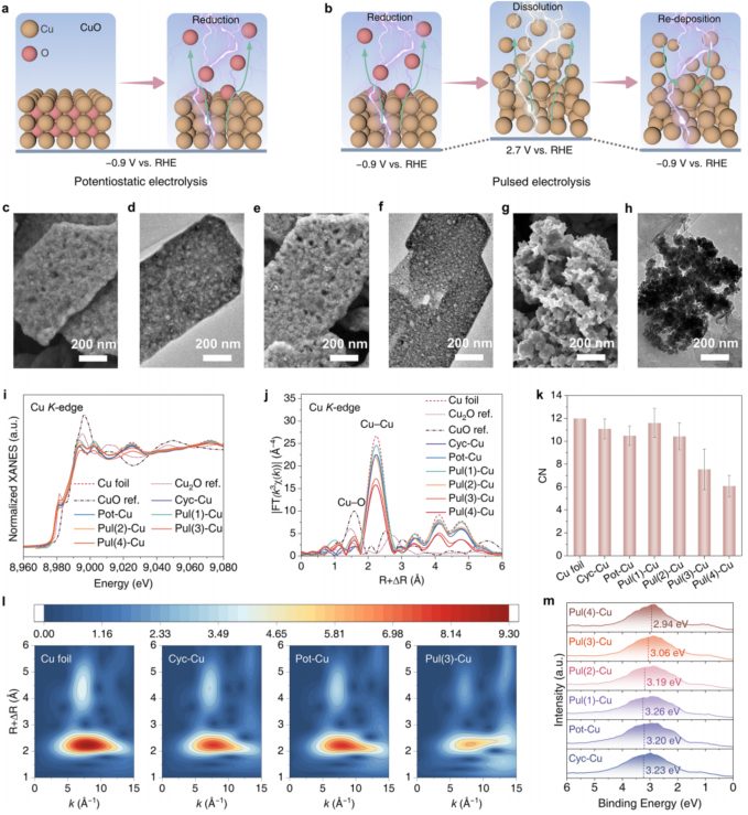 韩布兴&吴海虹&康欣晨最新JACS：调控配位数引导CO2RR路径