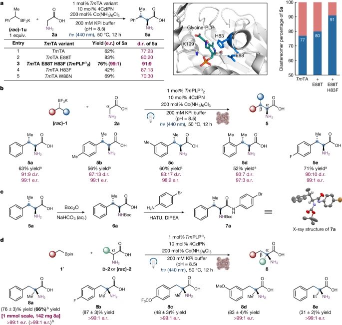 杨扬/刘鹏强强联合！Science之后，再发Nature！