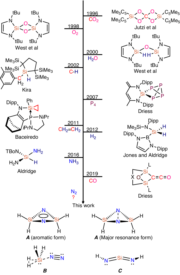 同济大学王雪峰/徐斌，最新Nature子刊！