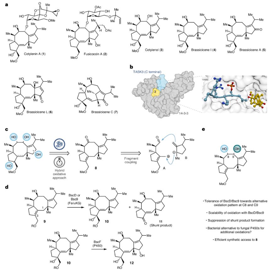 两个作者，一篇Nature Chemistry！