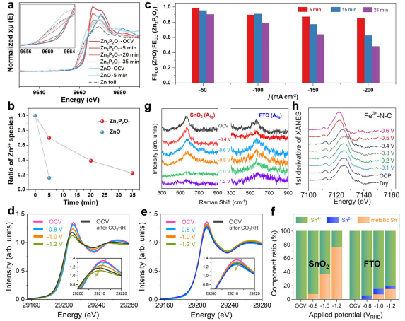 IF=46.2！海南大学田新龙/邓培林，最新Chemical Society Reviews综述！