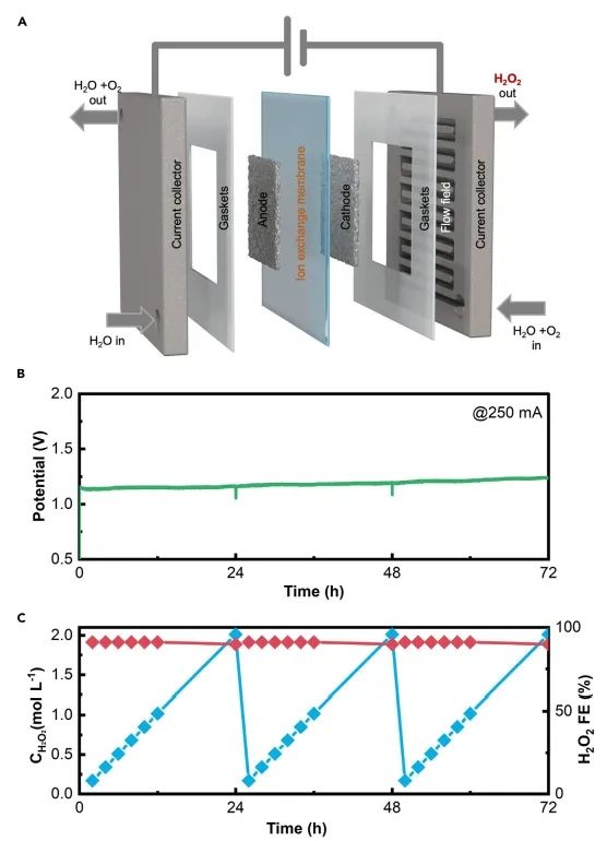 港理工Matter：钙钛矿晶格中隔离位点起大作用，促进电合成H2O2