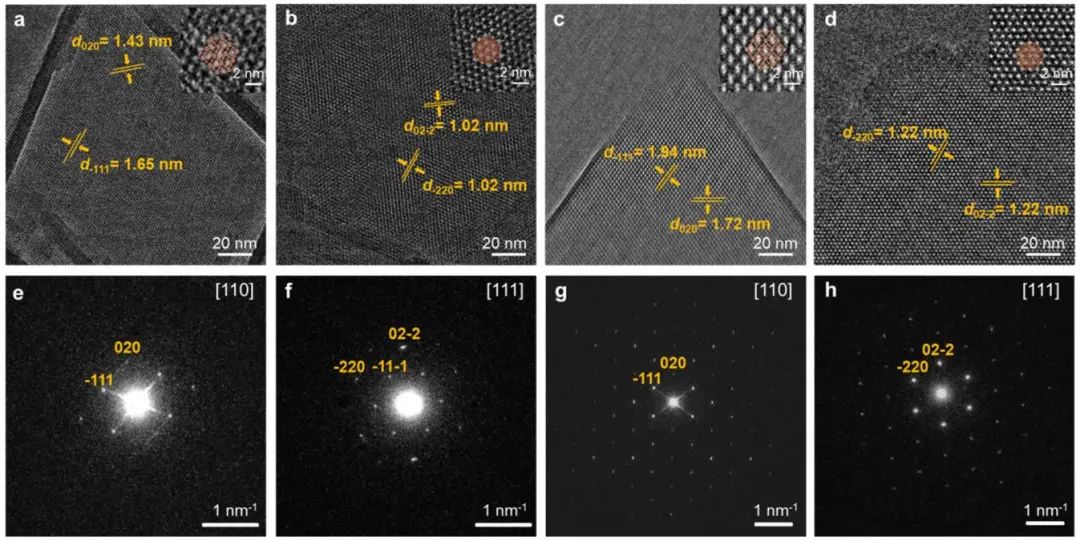 她，四院院士、新加坡国立常务副校长！最新JACS！