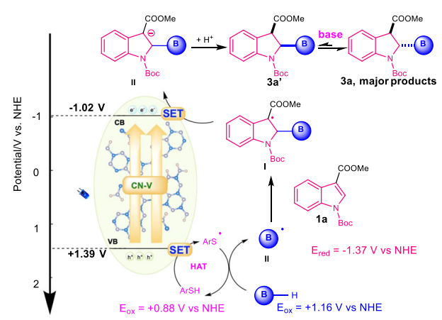 985副院长、教育部优秀人才！吴明铂/徐文刚/刘琼最新Nature子刊！