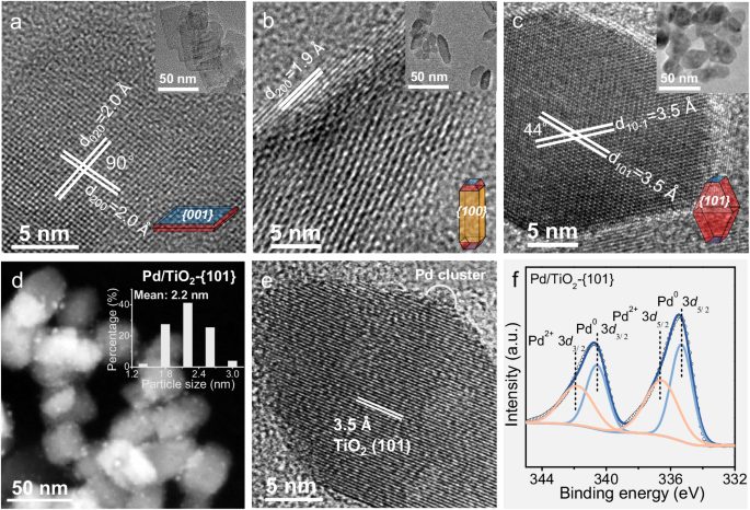 厦门大学「国家杰青」，王野团队，最新Nature子刊！