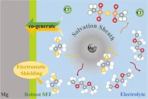 ​复旦EnSM：同步调控溶剂化结构和界面工程实现可逆的镁金属电池
