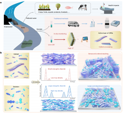 中科院化学所&吉林大学，最新Nature Water：高灵敏度水污染监测！