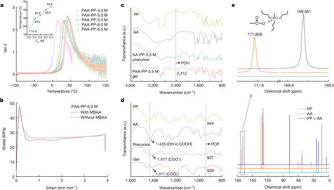 中国青年学者一作，最新Nature！