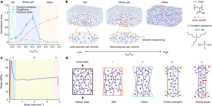 中国青年学者一作，最新Nature！