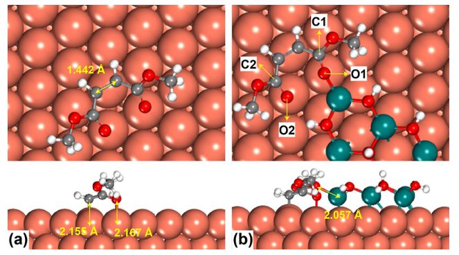 天津大学余英哲，最新ACS Catalysis！