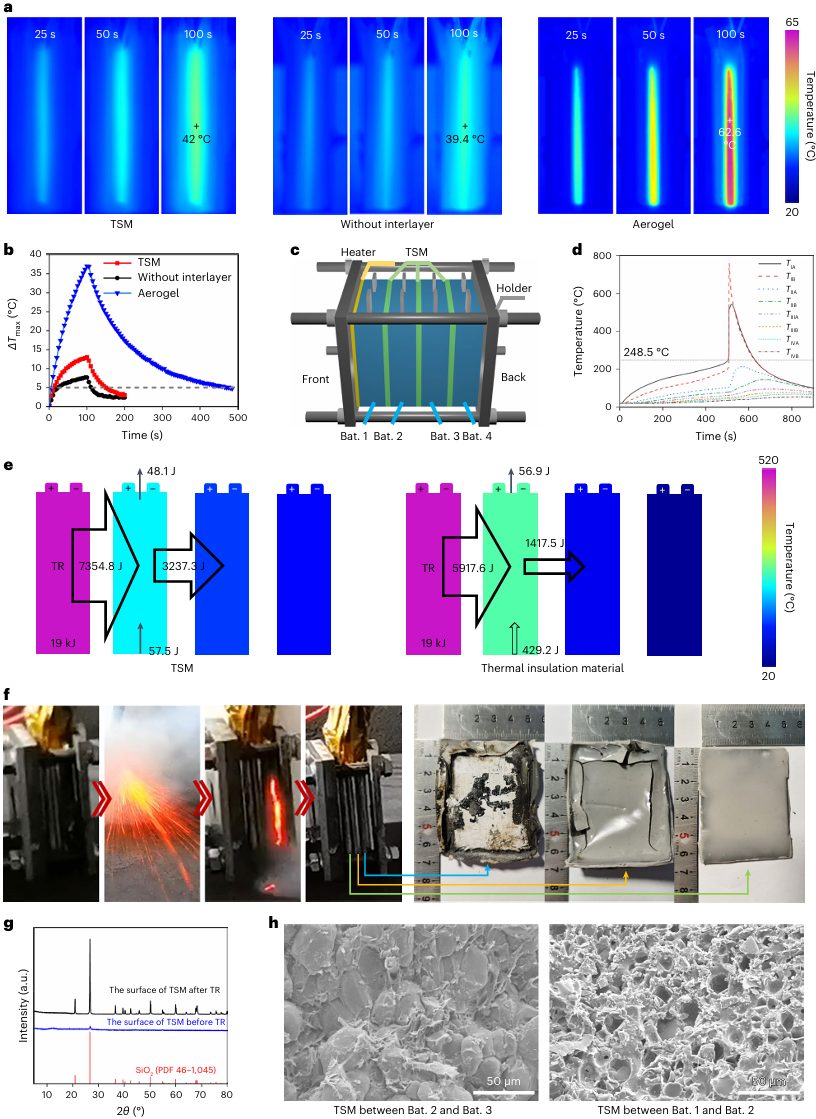 清华大学杨颖，联手浙大陆俊，最新Nature Energy！