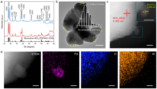 2023新晋中科院院士，最新JACS！