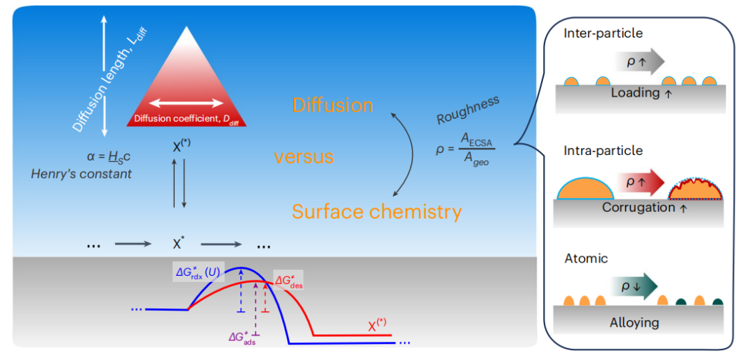 德国马普所，重磅Nature Catalysis！