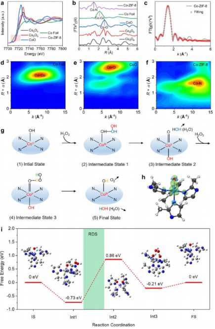 施剑林院士，最新JACS！催化让你健康!